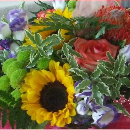 Ξενοδοχείο Verdemare Ρίμινι