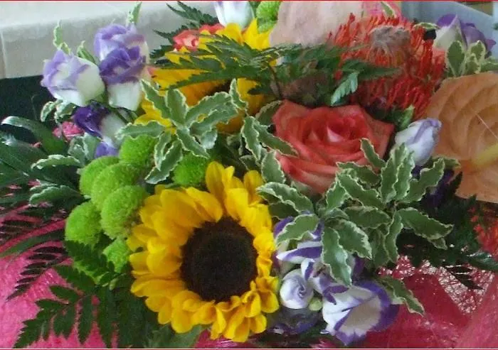 호텔 Verdemare 리미니