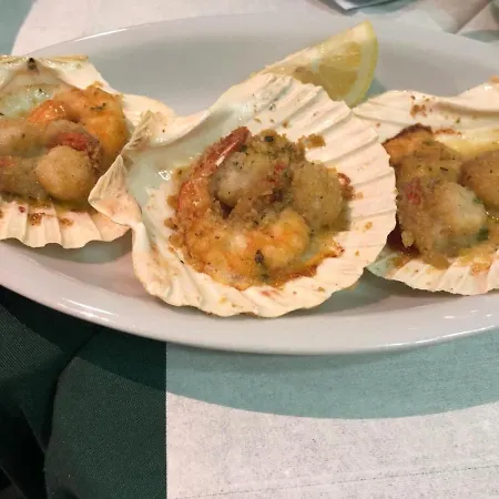 碧海酒店 3* 里米尼